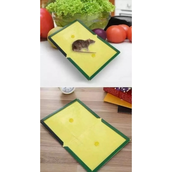 Лепкав капан за мишки и плъхове – 31х21 см.