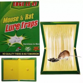 Лепкав капан за мишки и плъхове – 31х21 см.