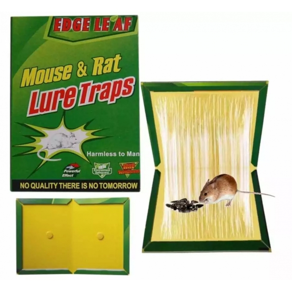 Лепкав капан за мишки и плъхове – 31х21 см.