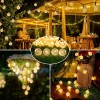 Соларни LED лампички с 100бр. топли бели светлини