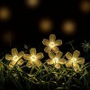 Соларни LED лампички във формат на цветенца Соларни LED лампички във формат на цветенца