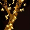 Соларни LED лампички във формат на цветенца Соларни LED лампички във формат на цветенца