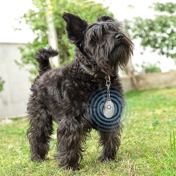 Ултразвуково антипаразитно устройство за домашни любимци 