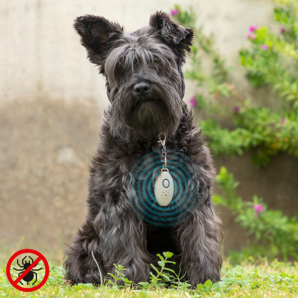 Ултразвуково антипаразитно устройство за домашни любимци 